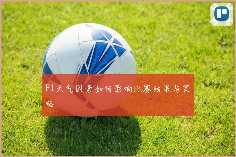 F1天气因素如何影响比赛结果与策略