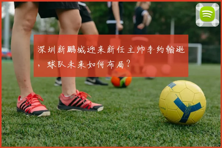 深圳新鹏城迎来新任主帅李约翰逊，球队未来如何布局？